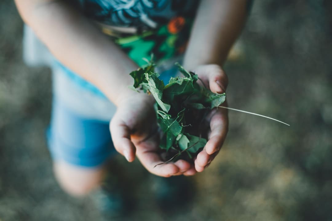Outdoor play & garden